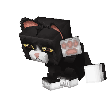 Chichen